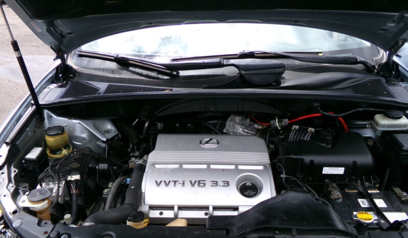 View 26