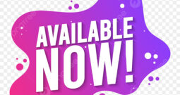 2006 TOYOTA TACOMA PRERUNNER ACCESS CAB